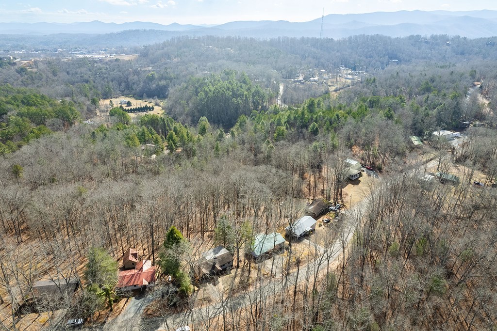 665 Davis Road Blue Ridge, GA 30513 - Photo 34 of 34 Gallery Image 34