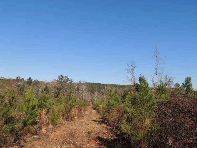 $325,000 | 3 Mountain Drive, Hamilton, GA 31811