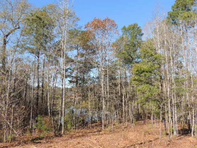 $325,000 | 3 Mountain Drive, Hamilton, GA 31811