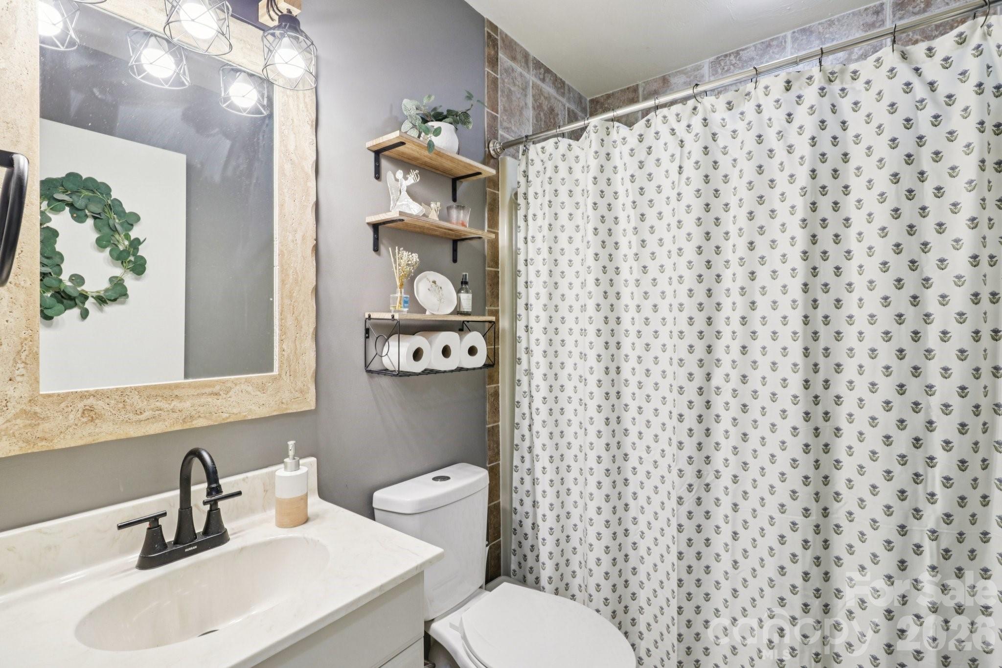 5483 Valley Run Street Hickory, NC 28601 - Photo 18 of 48 a bathroom with a sink a toilet and a mirror