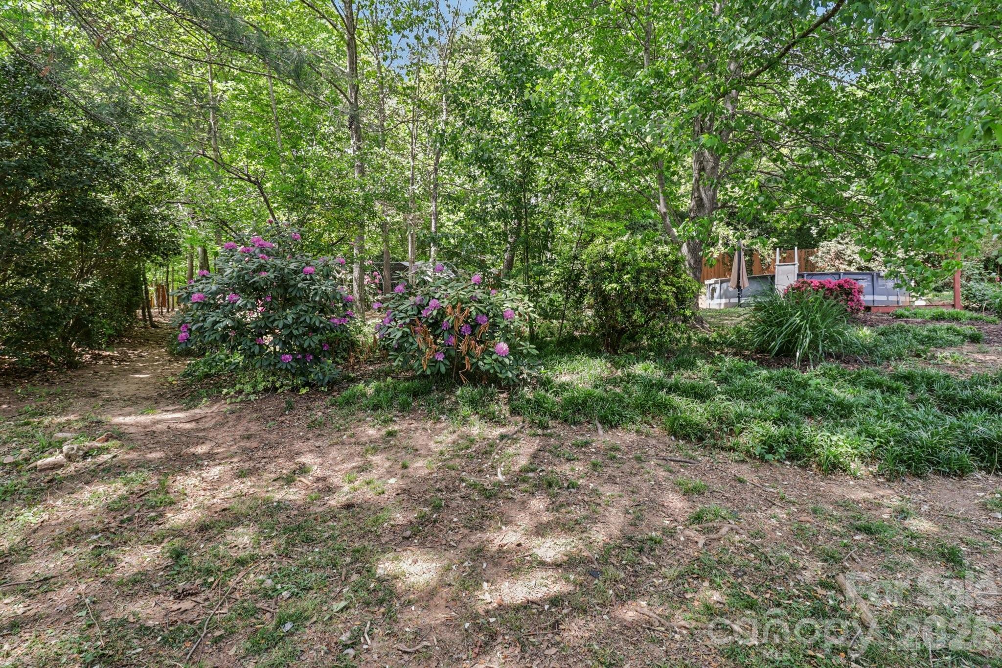 5483 Valley Run Street Hickory, NC 28601 - Photo 39 of 48 a view of a forest with trees in front of it