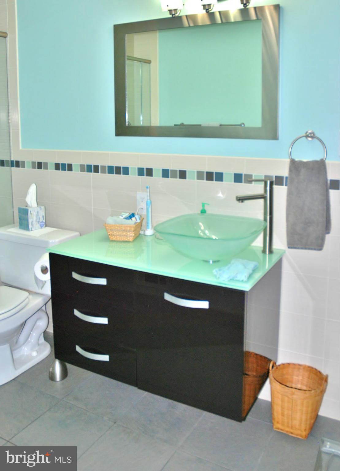 12633 English Orchard Court Silver Spring, MD 20906 - Photo 20 of 30 Master 2 Bath