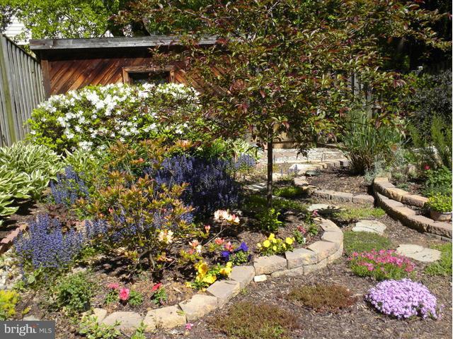 12633 English Orchard Court Silver Spring, MD 20906 - Photo 30 of 30 Garden in Spring
