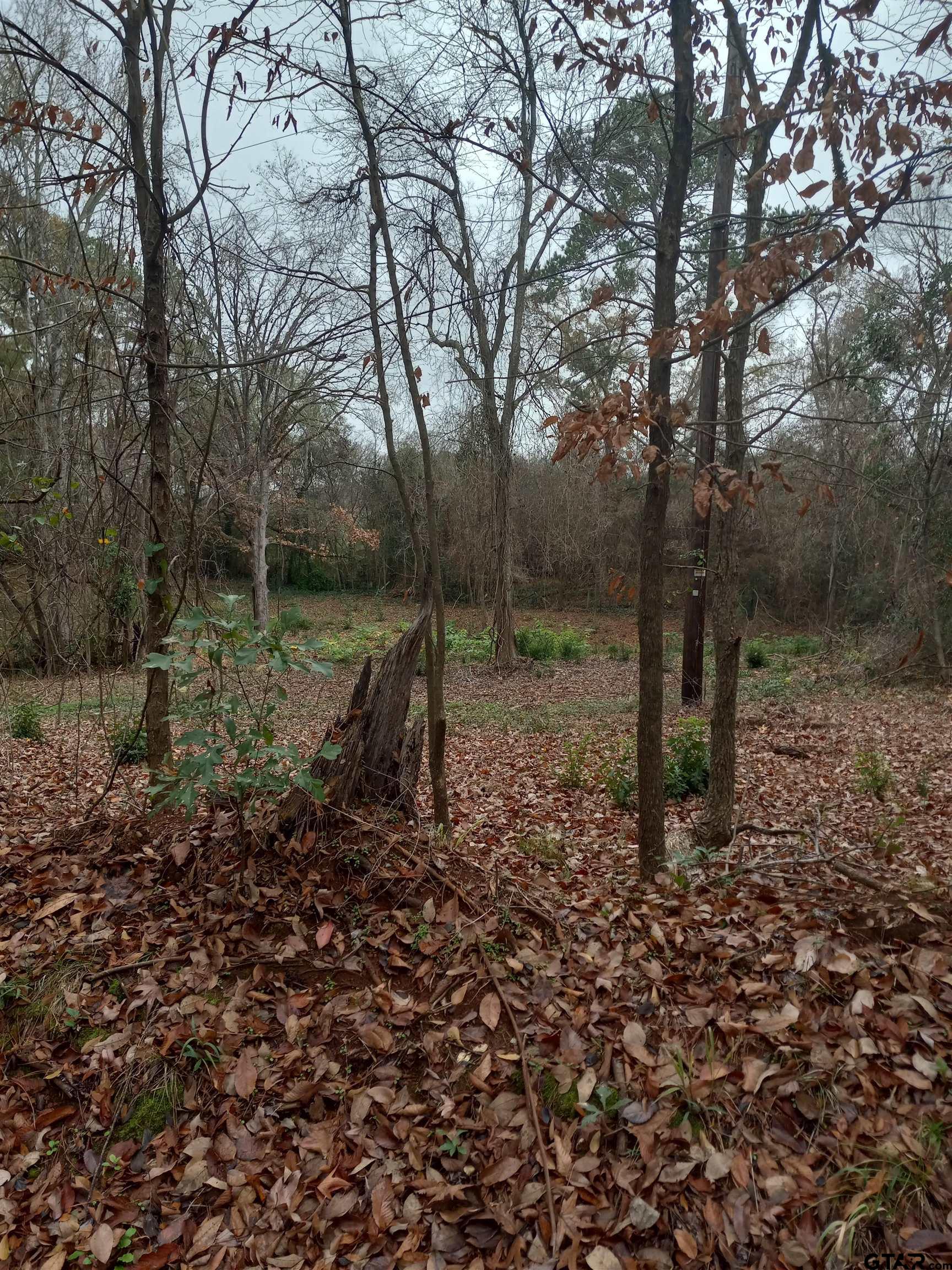 404 Cr 3112 Jacksonville Tx  