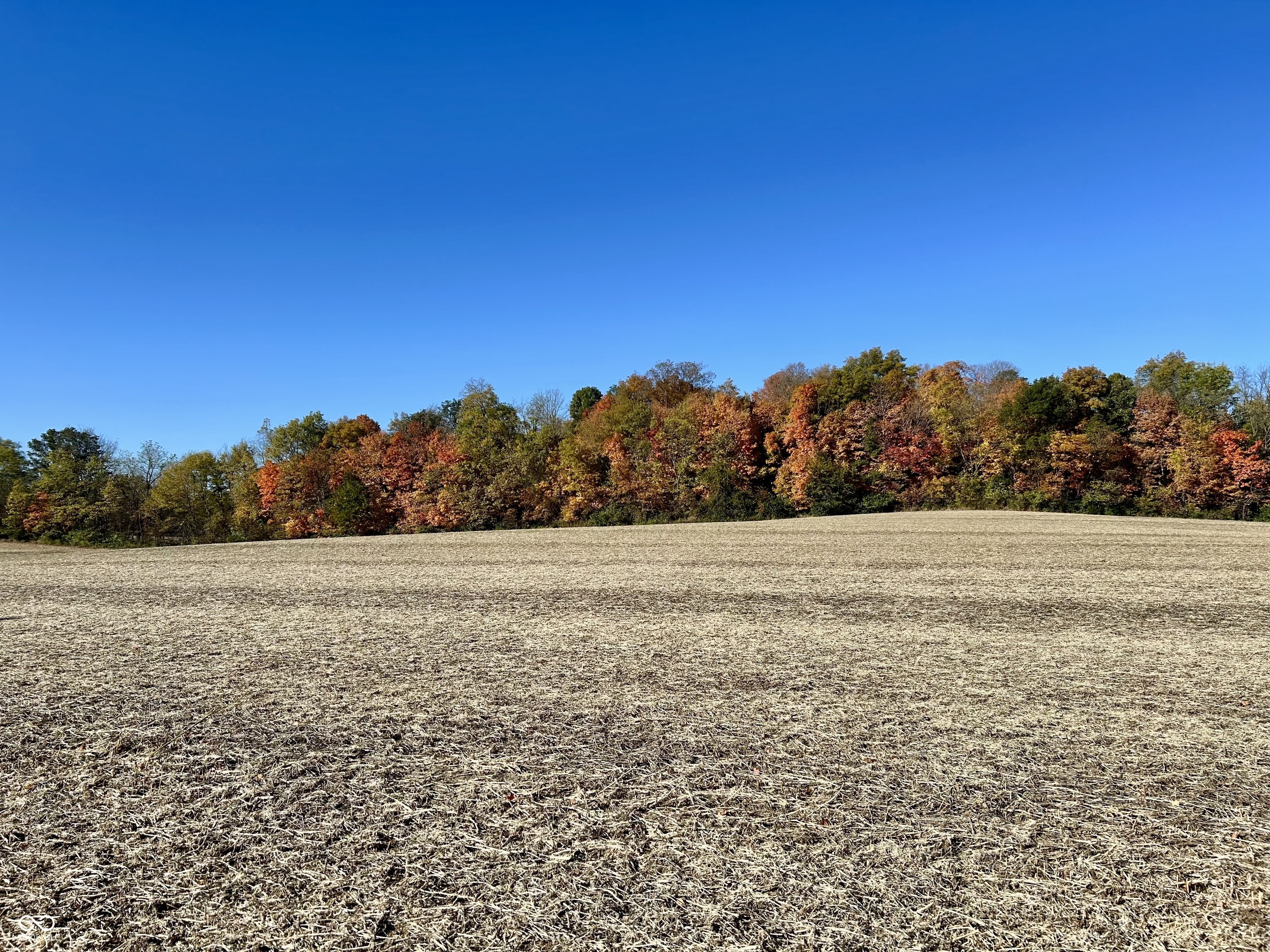 0 St Rd 167 Albany, IN 47320 - Photo 7 of 10