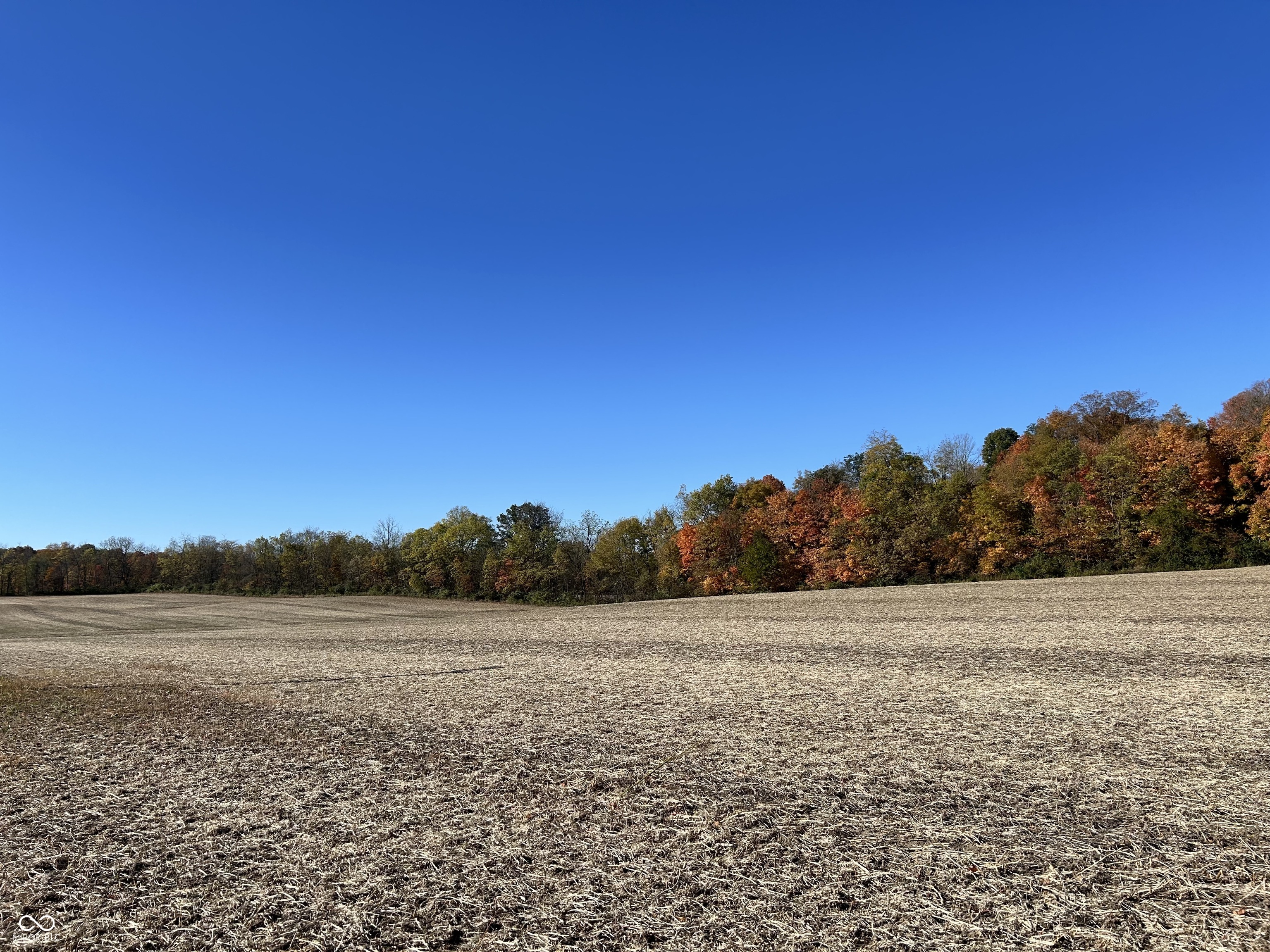 0 St Rd 167 Albany, IN 47320 - Photo 10 of 10