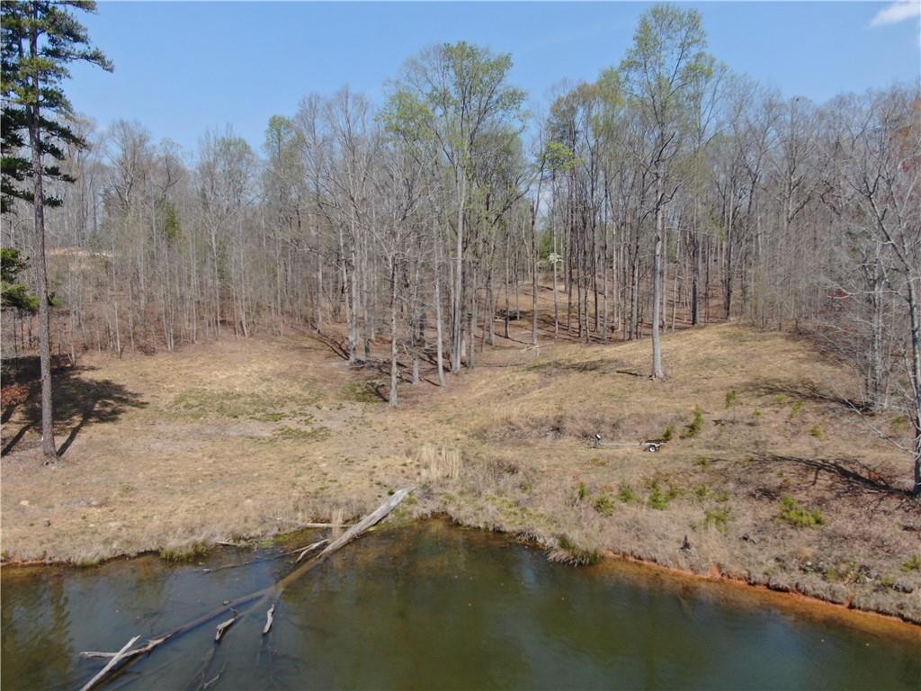 918 Purvis Road Baldwin, GA 30511 - Photo 7 of 18 Gallery Image 7
