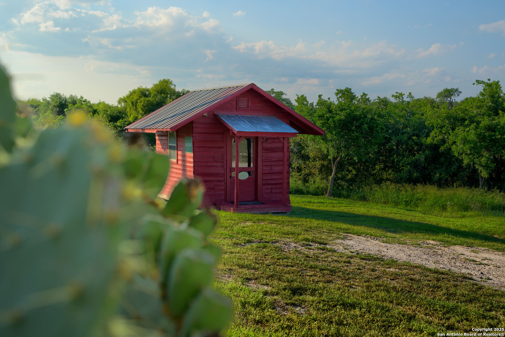 101 Campbell Road 3 Road Sandia, TX 78383 - Photo 60 of 105 a view of a big yard with plants and large trees