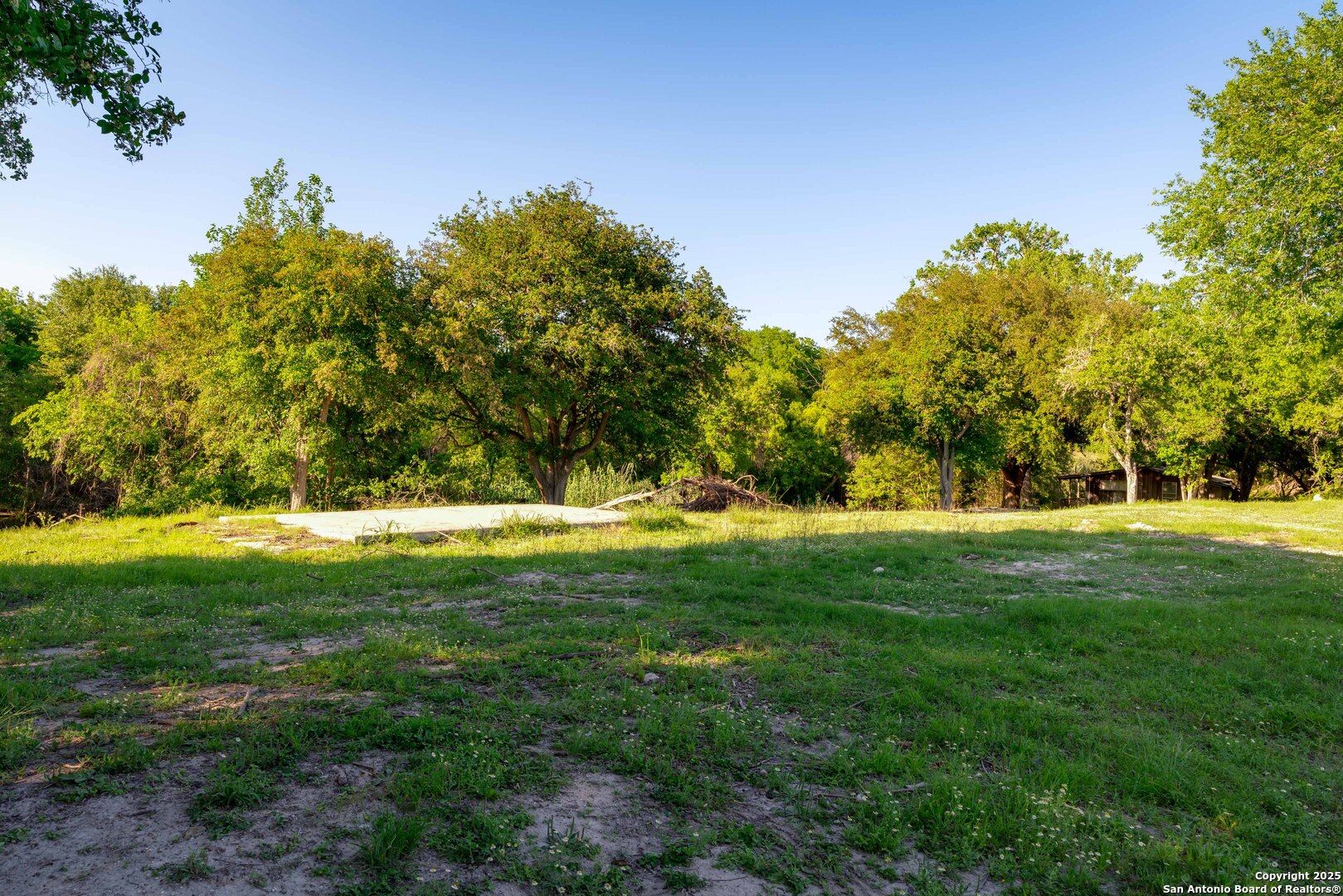101 Campbell Road 3 Road Sandia, TX 78383 - Photo 71 of 105 a view of yard with green space