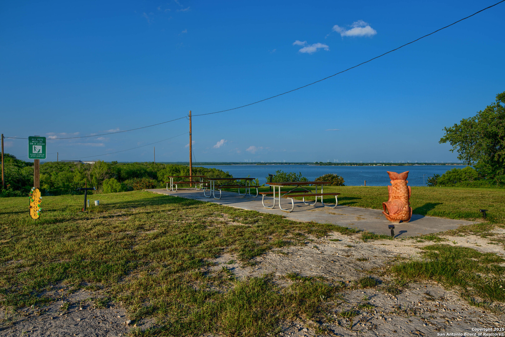 101 Campbell Road 3 Road Sandia, TX 78383 - Photo 99 of 105