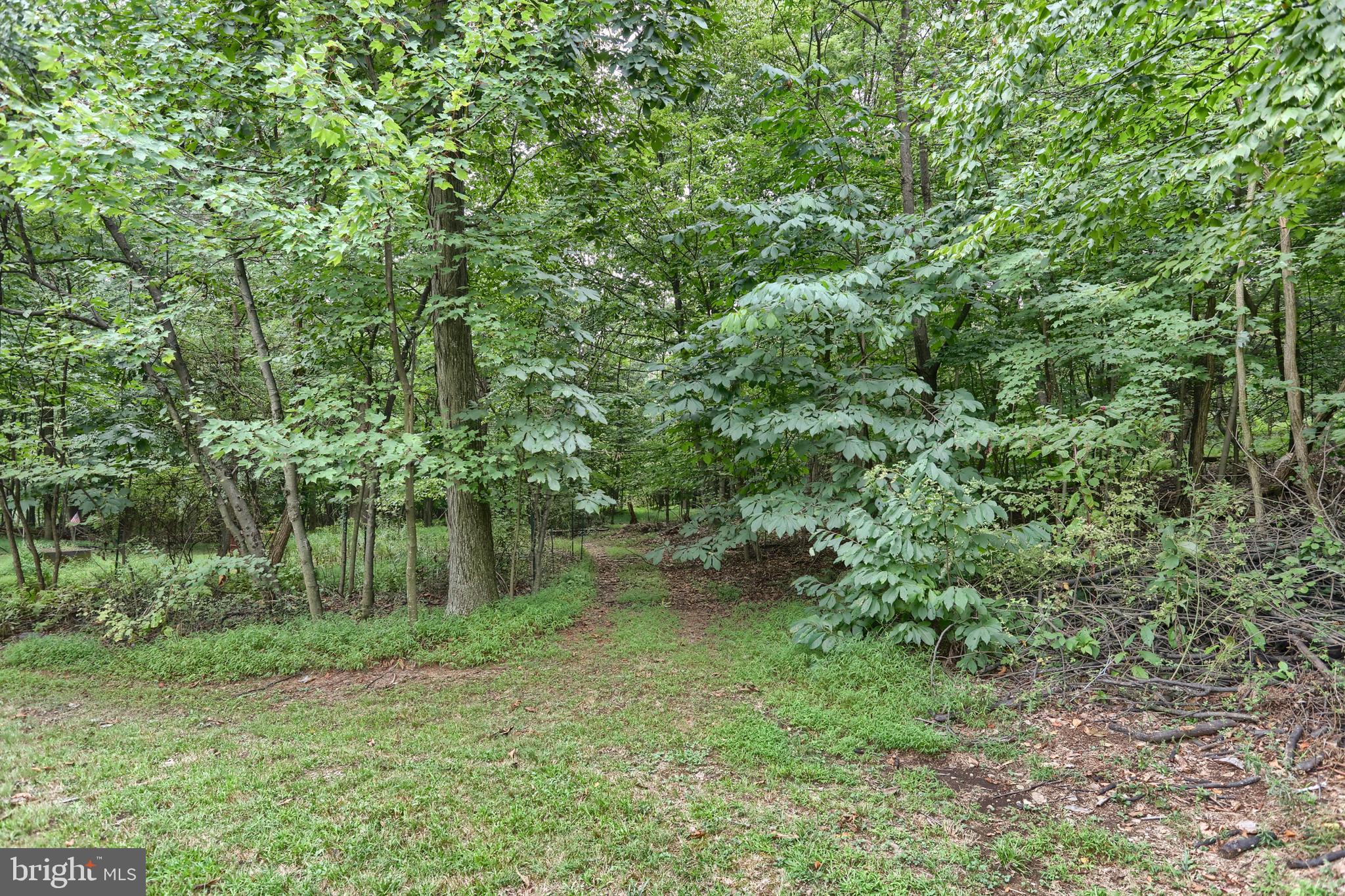 360 Farmall Road Grantville, PA 17028 - Photo 35 of 47 Gallery Image 35