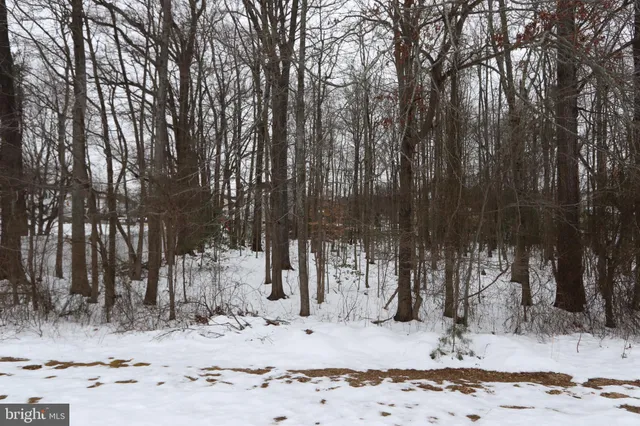 a view of outdoor space with lots of trees
