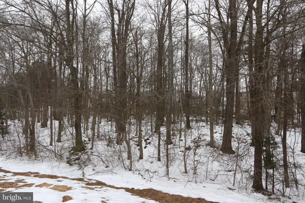 a view of a park with trees