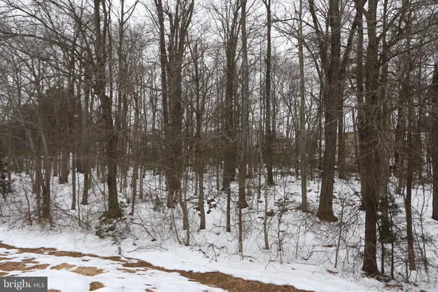 a view of a park with trees