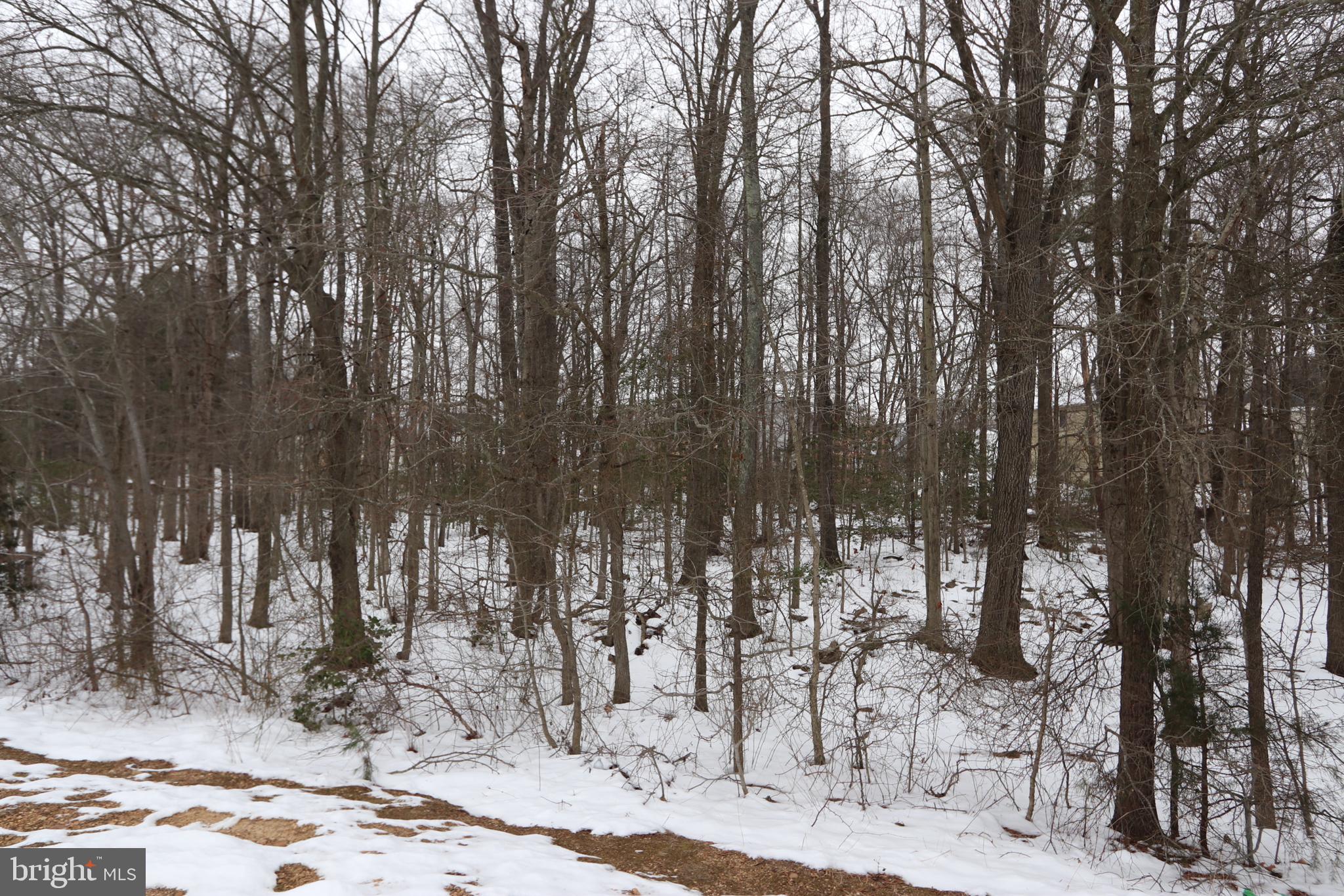 Beech Lane, Unit PARCEL 27 Accokeek, MD 20607 - Photo 8 of 10 a view of outdoor space with lots of trees
