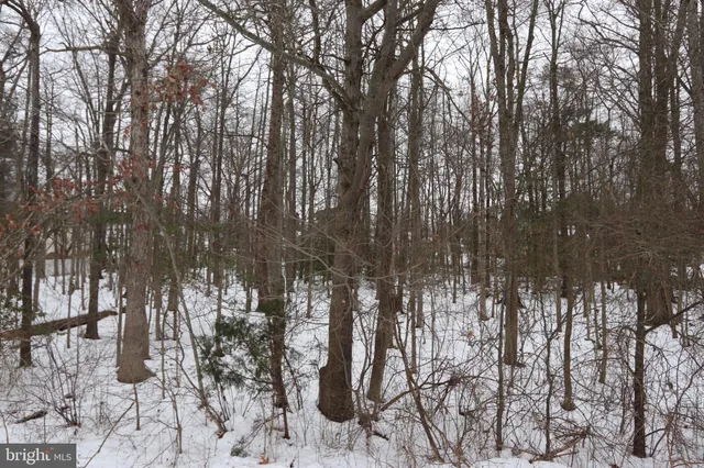 $60,000 | Beech Lane, Unit PARCEL 27, Accokeek, MD 20607