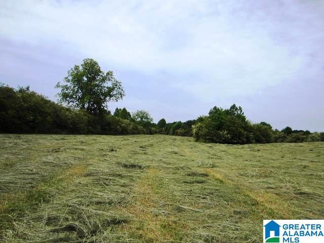 1093 High Pine Road Ashland, AL 36251 - Photo 22 of 36