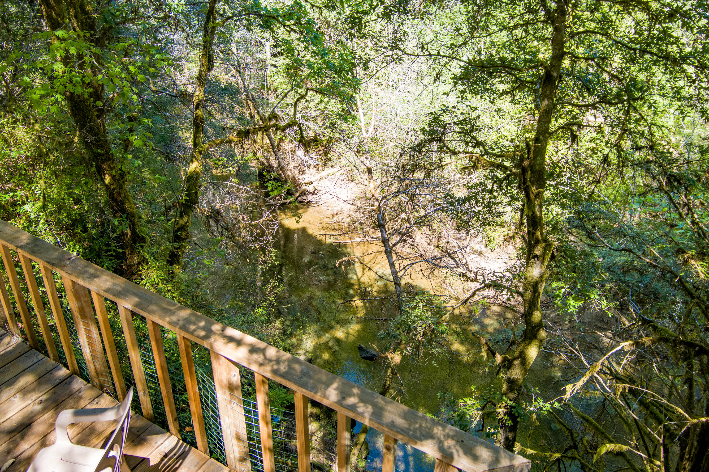 290 Green House Road Whitethorn, CA 95589 - Photo 27 of 73