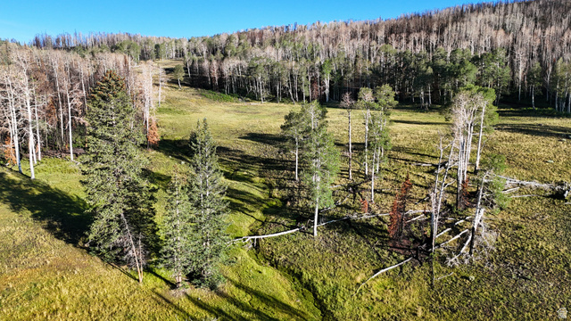 123 Tbd Monroe Canyon Road Monroe, UT 84754 - Photo 56 of 92 Expansive natural landscape featuring a sloping terrain, mature evergreen trees, and varied deciduous foliage