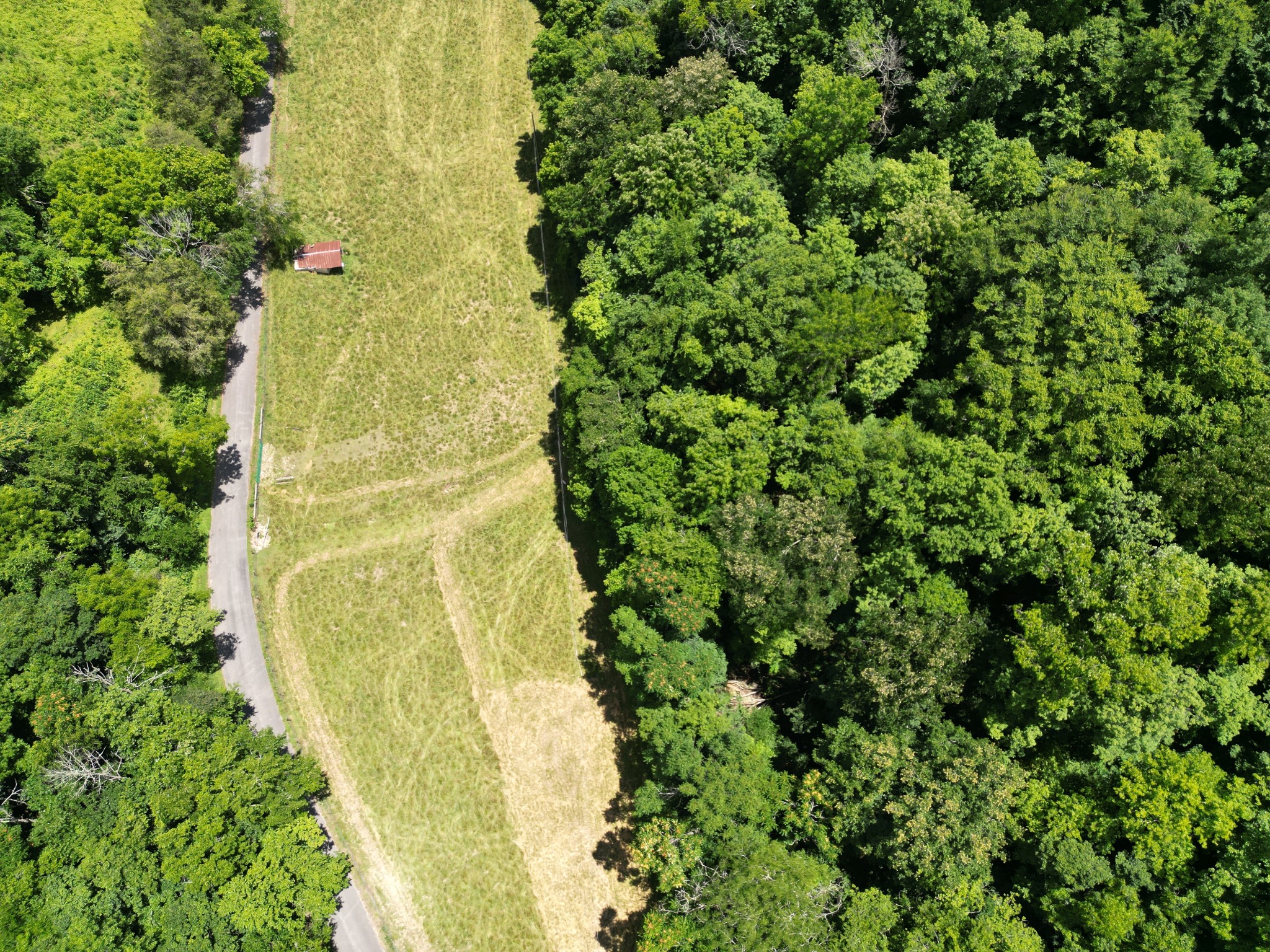 1611 Knob Creek Road Celina, TN 38551 - Photo 49 of 56