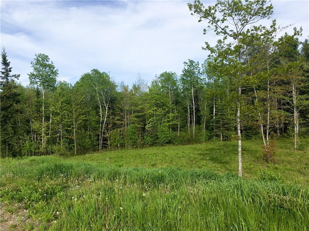 Lot 40 Kennebec Road Hampden, ME 04444 - Photo 14 of 29 A beautiful selection of trees were...