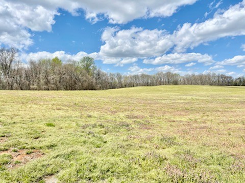 0 Holland Road Ardmore, TN 38449 - Photo 1 of 6 a view of an ocean