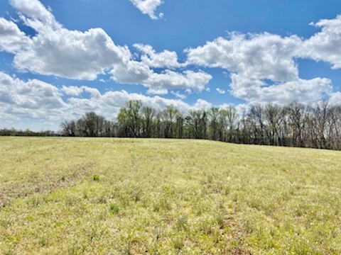 0 Holland Road Ardmore, TN 38449 - Photo 3 of 6 a view of a yard