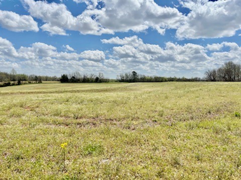 0 Holland Road Ardmore, TN 38449 - Photo 4 of 6