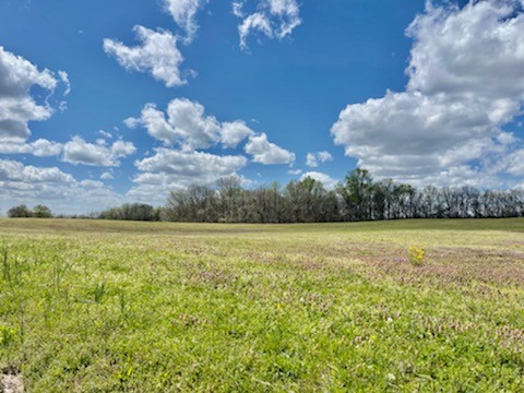 0 Holland Road Ardmore, TN 38449 - Photo 5 of 6 a view of lake and mountain view