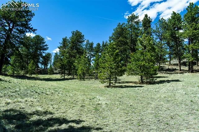 Lot 60 B Road Guffey, CO 80820 - Photo 2 of 28