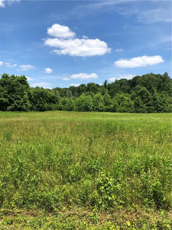 913 Pannel Road Reidsville, NC 27320 - Photo 3 of 3