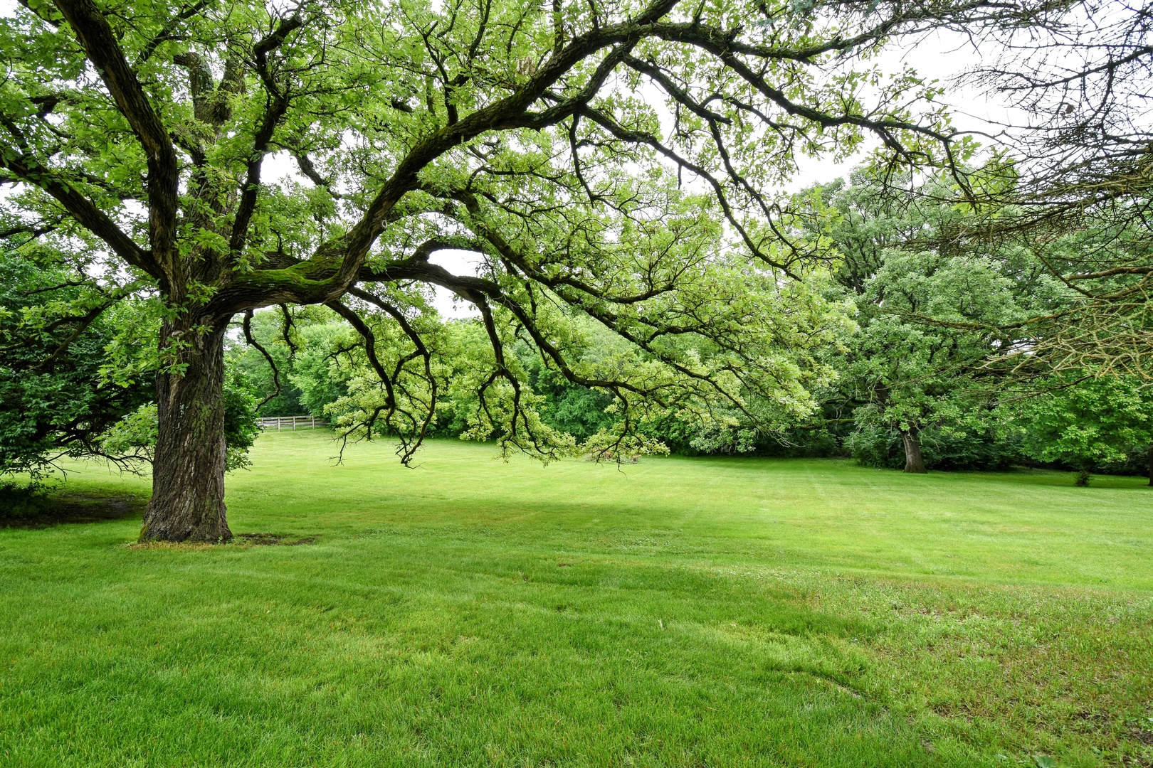 1001 Plum Tree Road Barrington Hills, IL 60010 - Photo 27 of 31