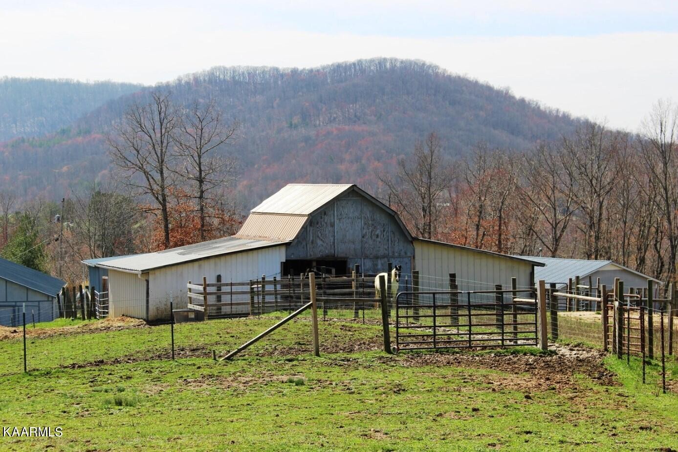 3491 Pleasant Grove Road Winfield, TN 37892 - Photo 34 of 40 a view of house with backyard