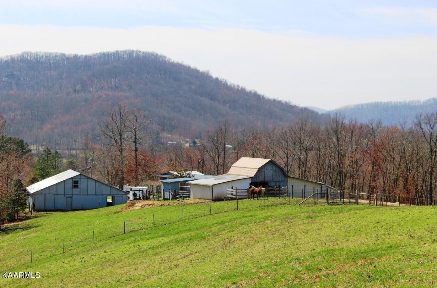 3491 Pleasant Grove Road Winfield, TN 37892 - Photo 36 of 40 a view of a house with a big yard and a large tree