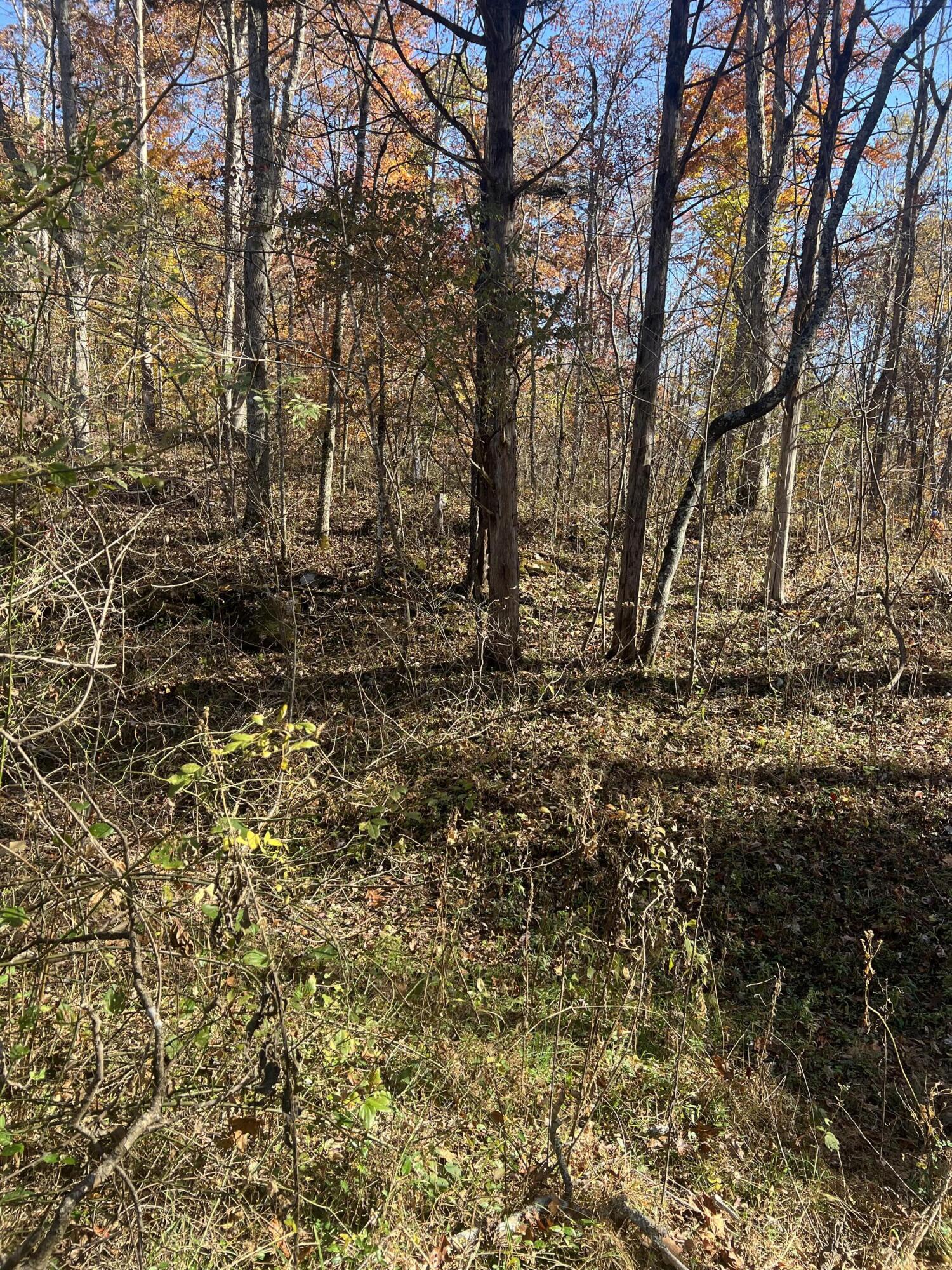 0 Lapsley Run Road Eagle Rock, VA 24085 - Photo 20 of 29 IMG_2876