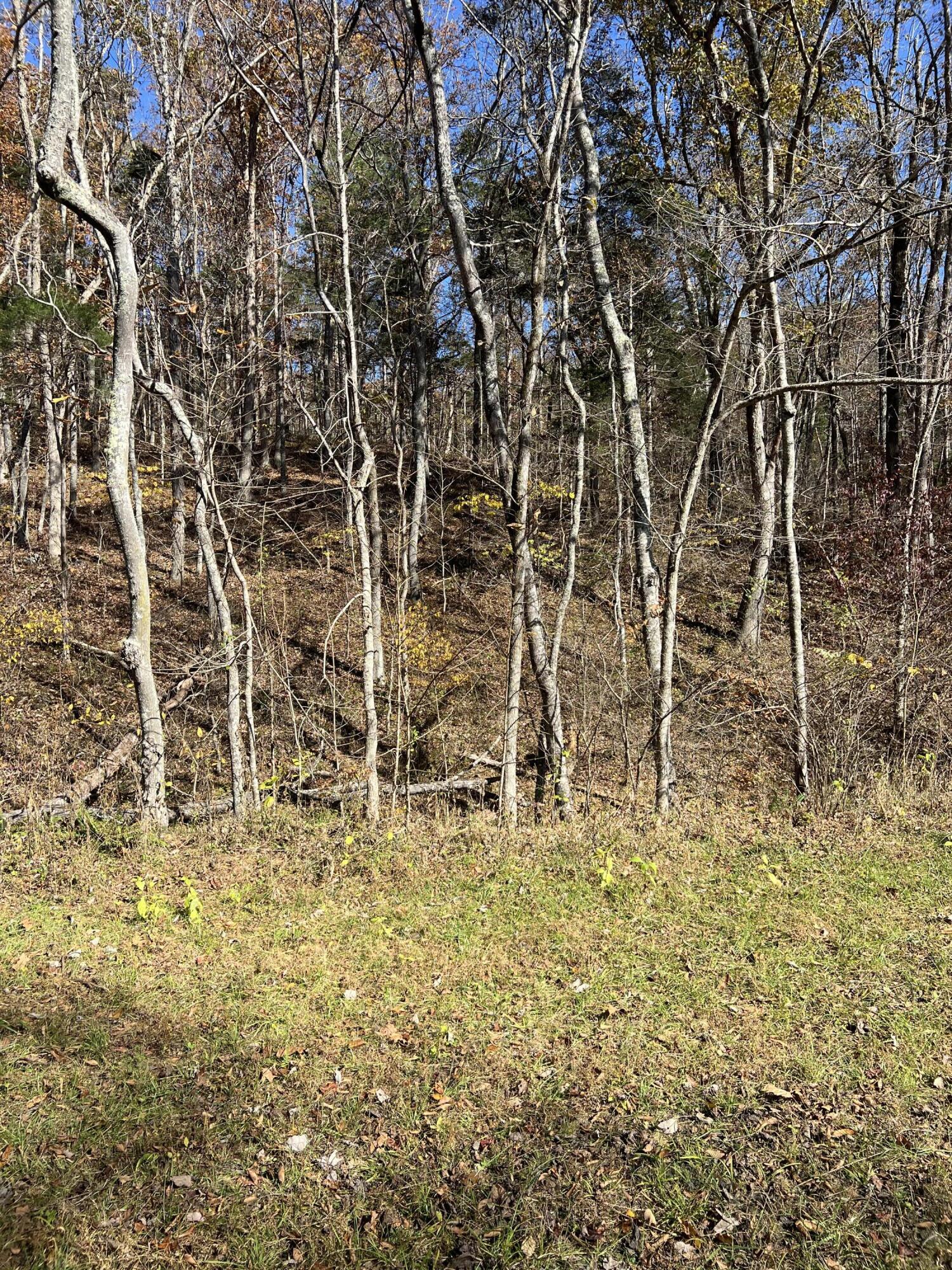 0 Lapsley Run Road Eagle Rock, VA 24085 - Photo 2 of 29 IMG_2857