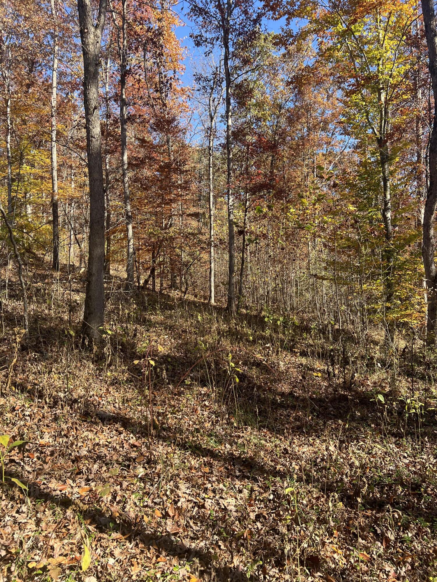 0 Lapsley Run Road Eagle Rock, VA 24085 - Photo 23 of 29 IMG_2879