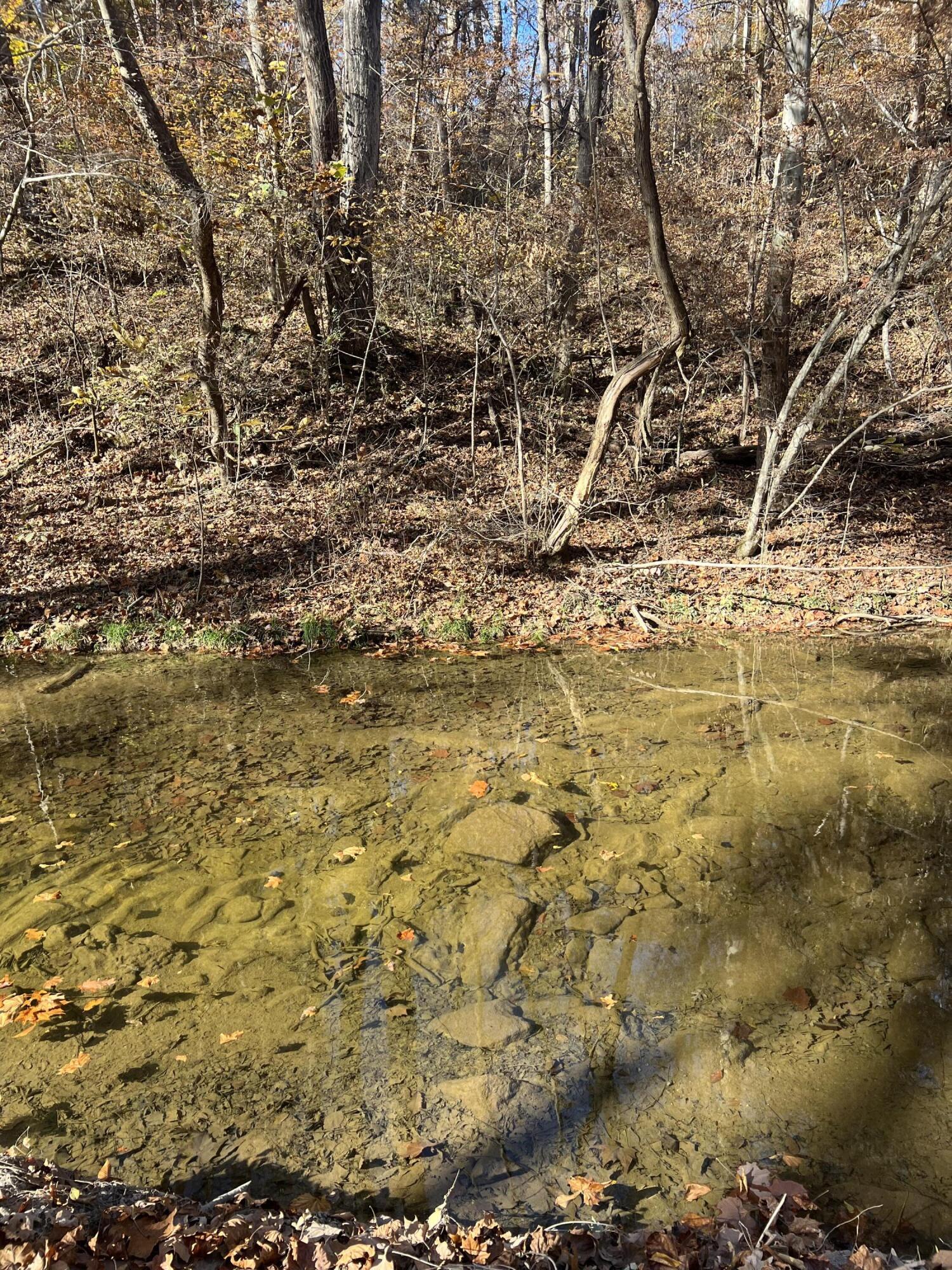 0 Lapsley Run Road Eagle Rock, VA 24085 - Photo 29 of 29 IMG_2887
