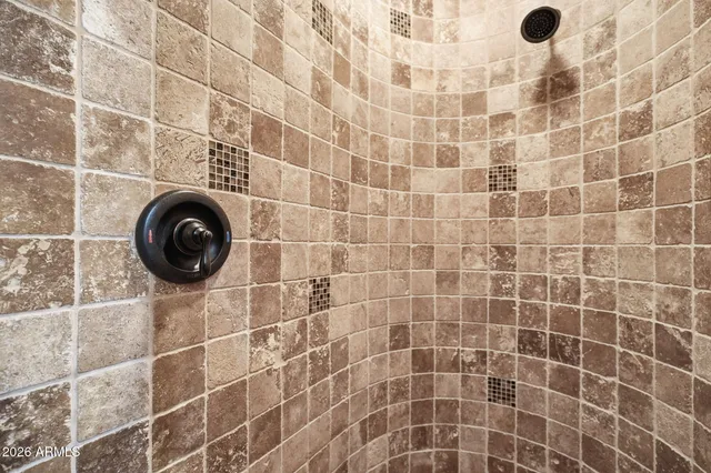 a bathroom with a sink and a shower