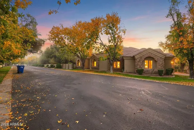 a view of road with large trees