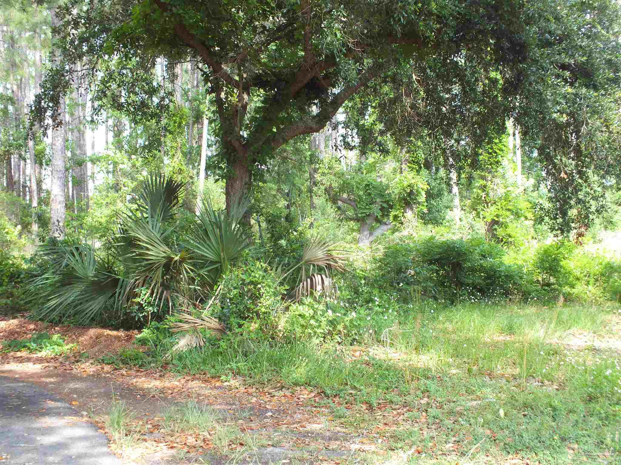 0 Eventide Road Milton, FL 32583 - Photo 3 of 9