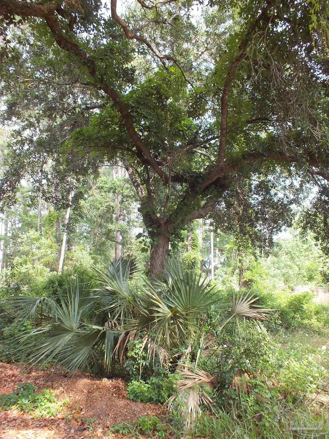 0 Eventide Road Milton, FL 32583 - Photo 4 of 9