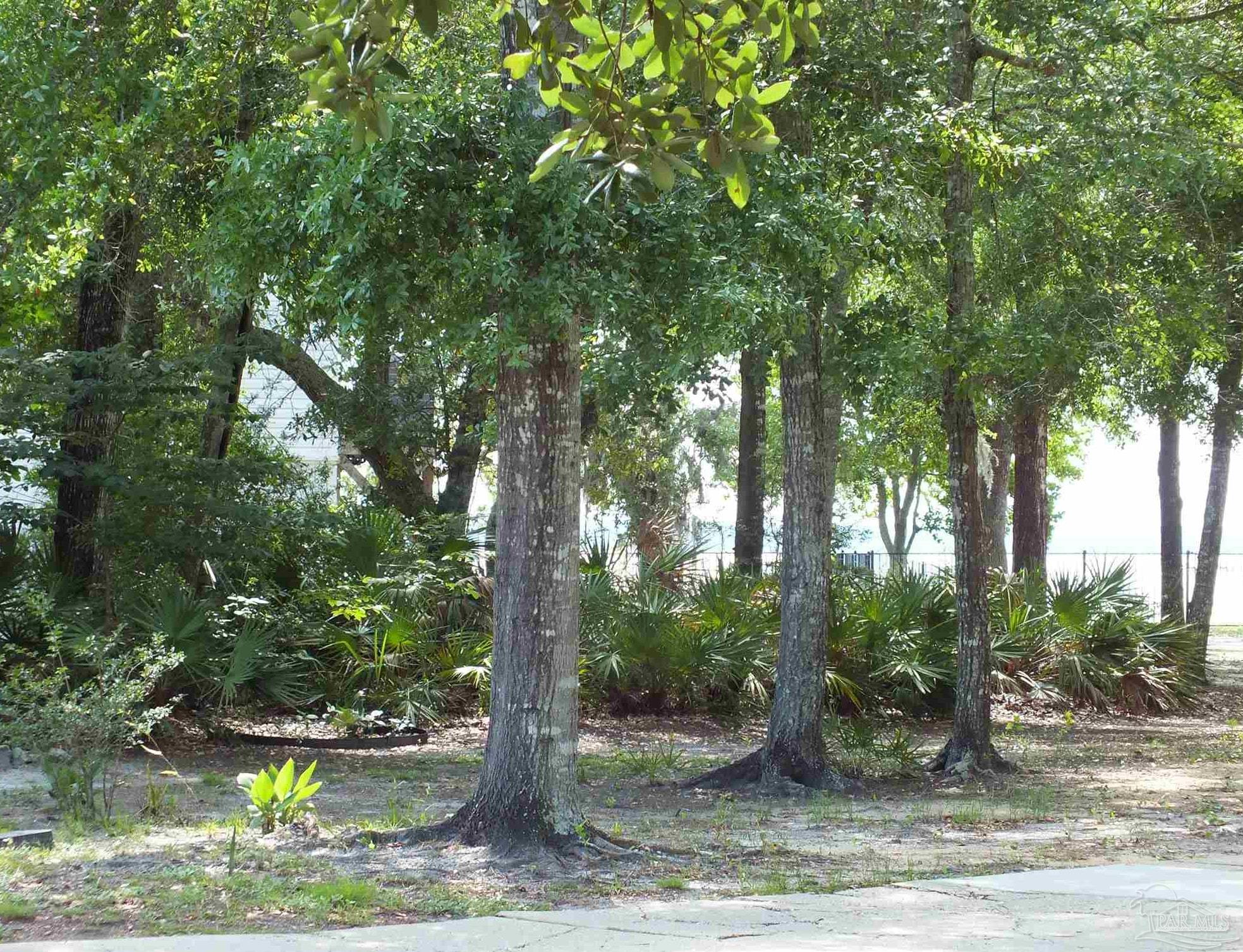 0 Eventide Road Milton, FL 32583 - Photo 5 of 9