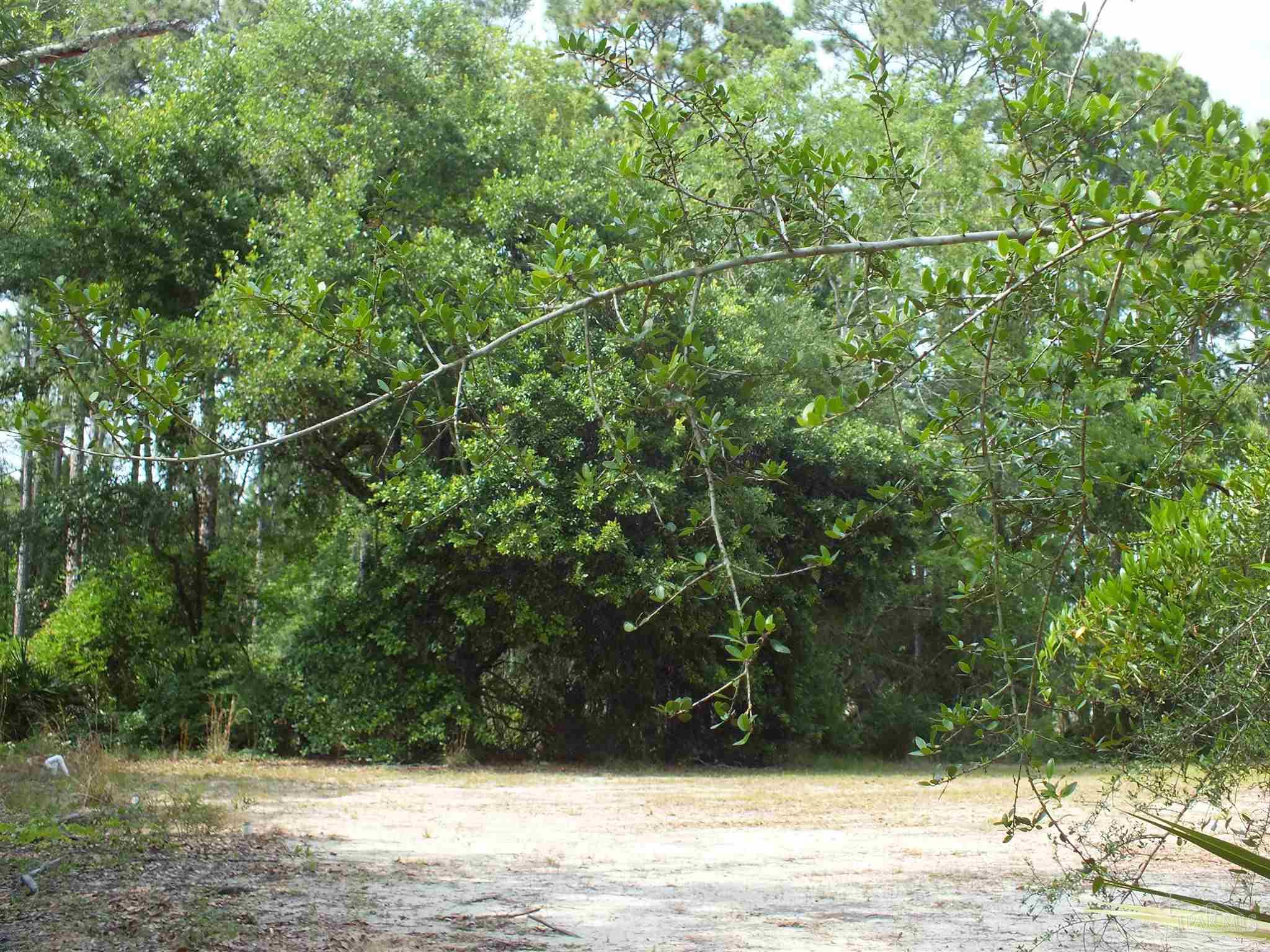 0 Eventide Road Milton, FL 32583 - Photo 6 of 9 View