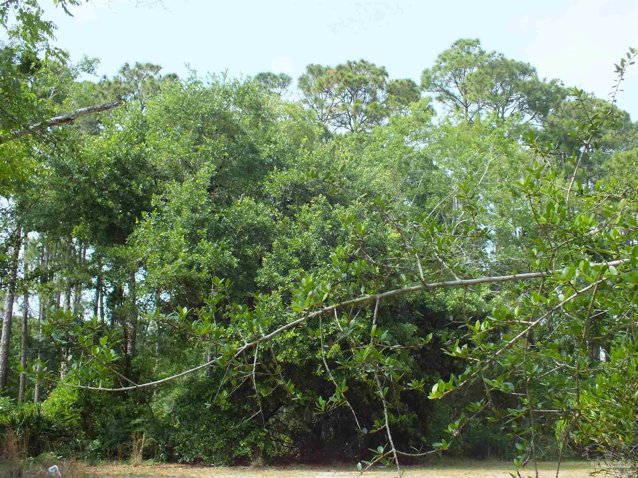 0 Eventide Road Milton, FL 32583 - Photo 7 of 9