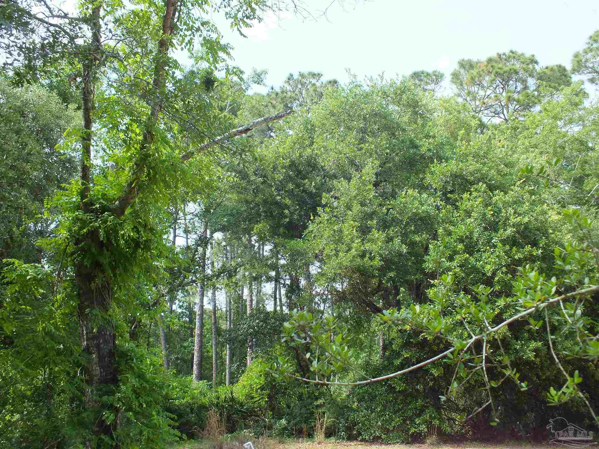 0 Eventide Road Milton, FL 32583 - Photo 8 of 9