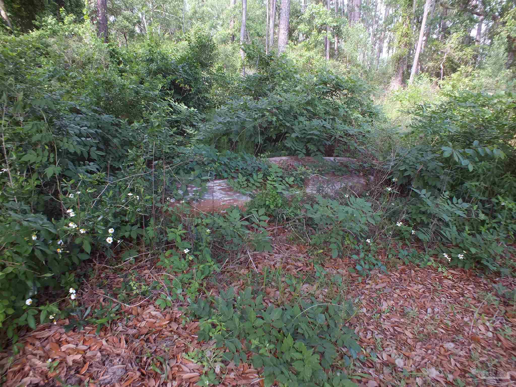 0 Eventide Road Milton, FL 32583 - Photo 9 of 9