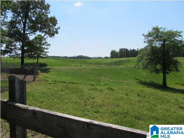 4100 Blue Cutt Road Pell City, AL 35128 - Photo 31 of 32