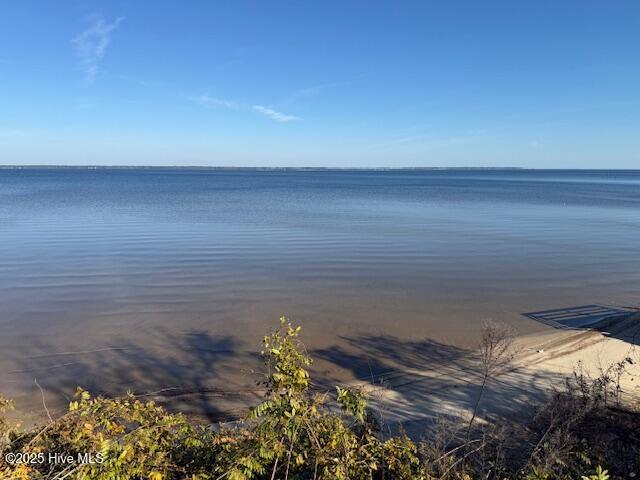 913 Stately Pines Road New Bern, NC 28560 - Photo 19 of 20 Water View 1
