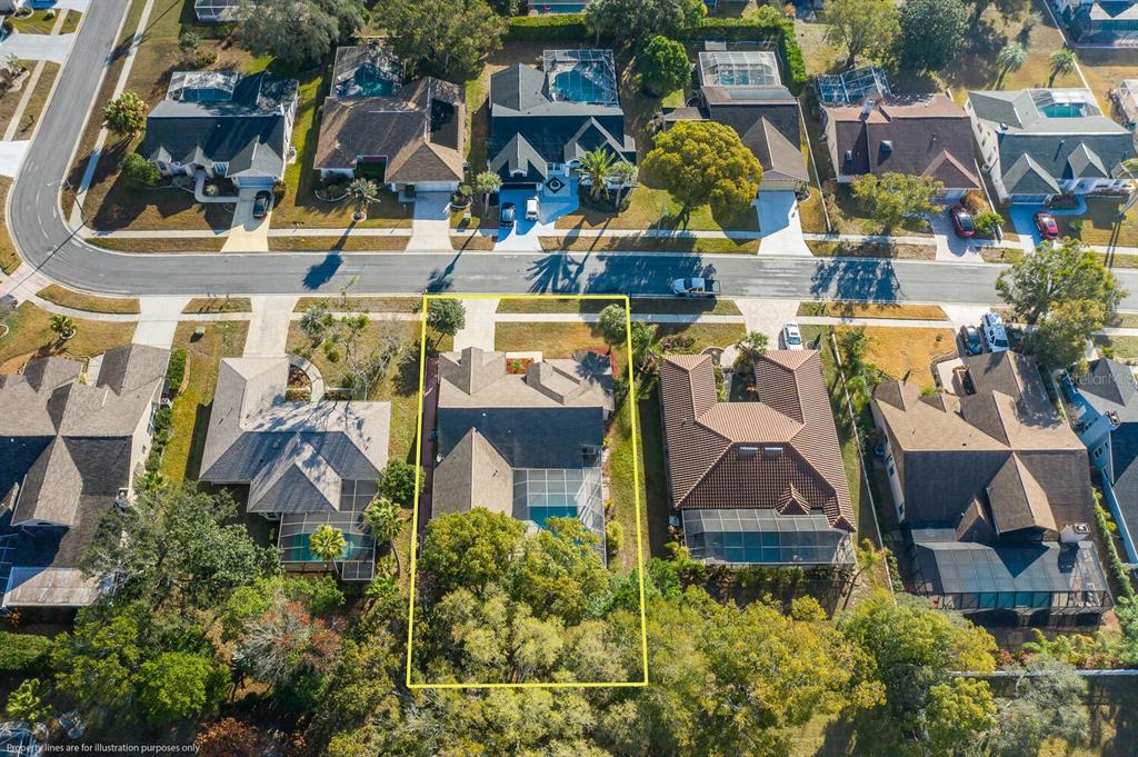 1269 Masada Lane Spring Hill, FL 34608 - Photo 8 of 65